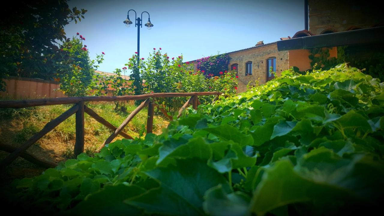 La Masseria Lolivia Senise Esterno foto